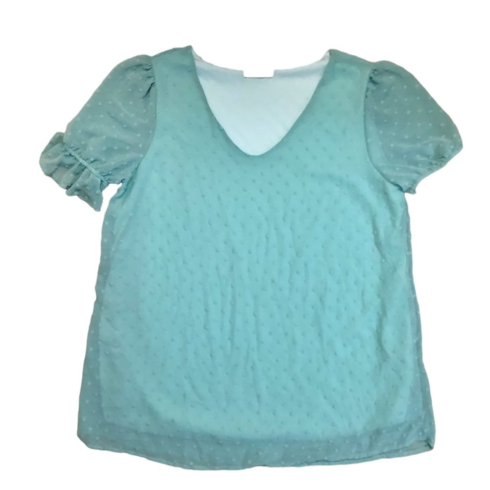 REB. in J. Sea foam green swiss dot v-neck short sleeve blouse, Large